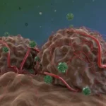 Tumor Antigen