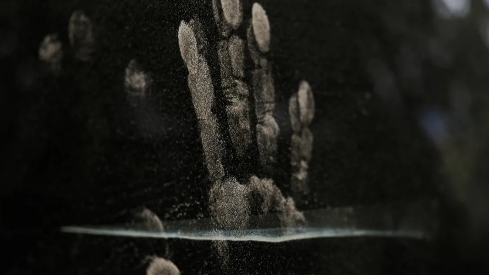 fingerprint