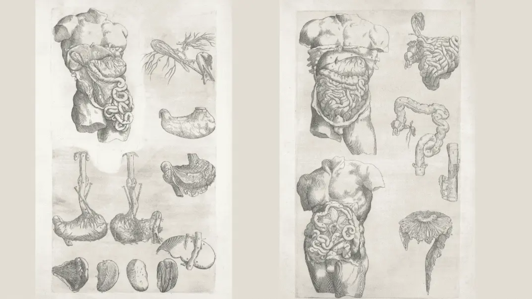 Forensic Pathology