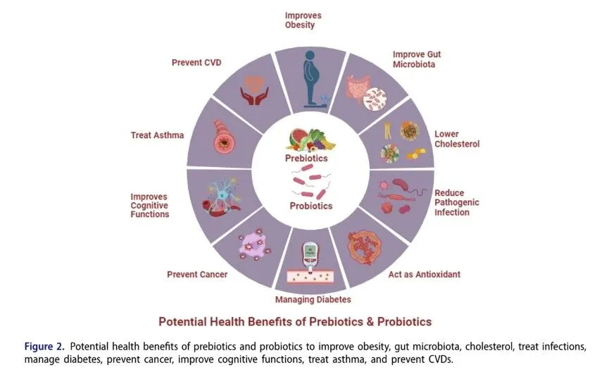 Health Benefits