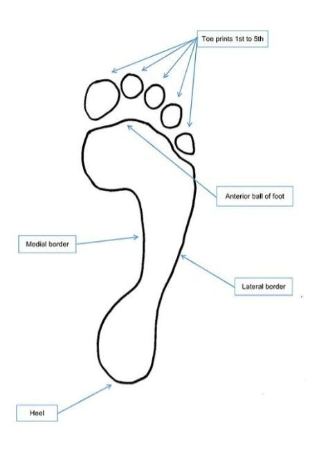 foot print detail