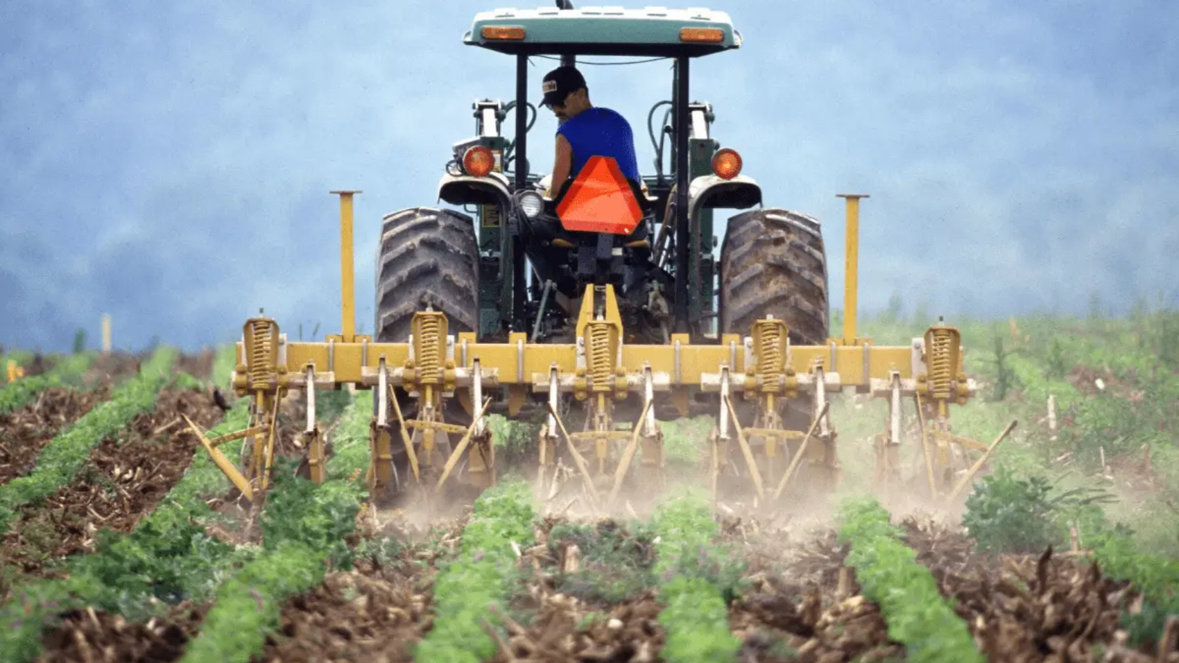 Indian agriculture