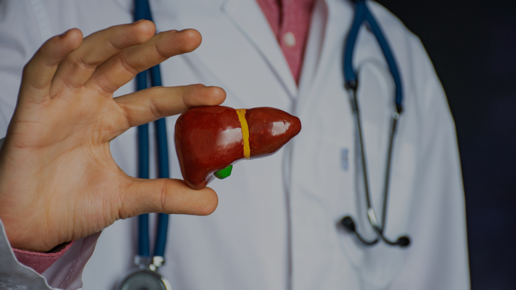 fatty liver