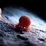 nanoparticles
