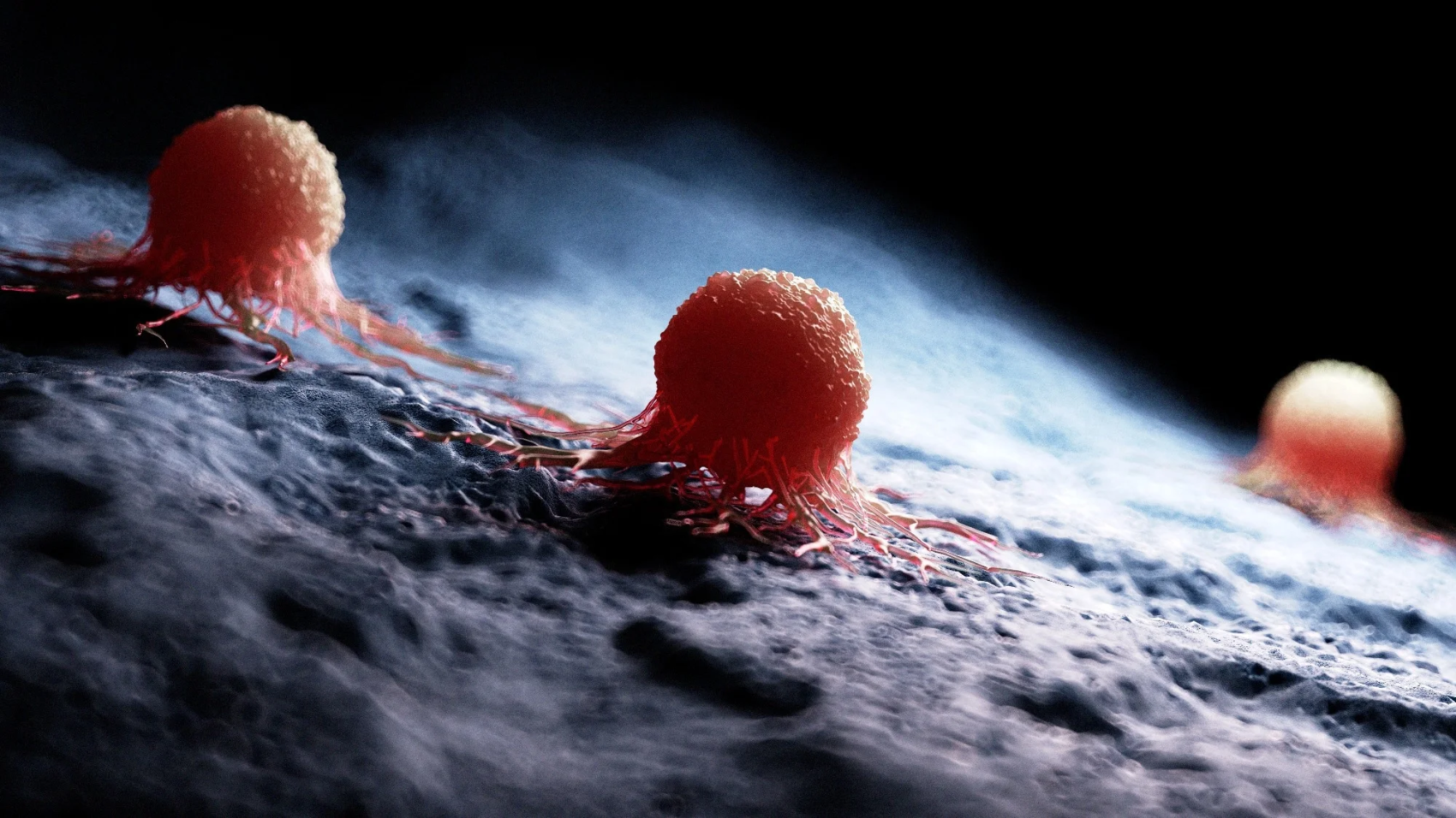 nanoparticles
